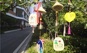 手绘心愿牌，筑造新梦想——记车坊实小第十三届心理健康周活动