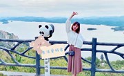 张娟老师简介